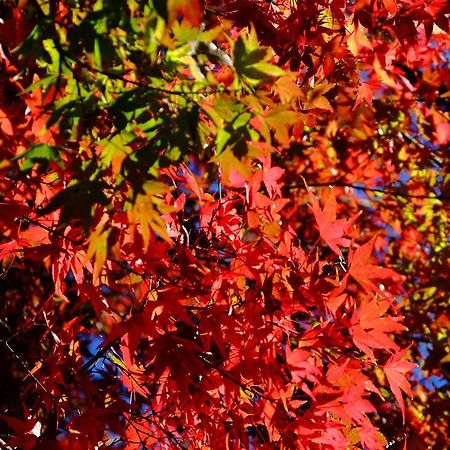 Hotel Fuyokaku Fujiyoshida Zewnętrze zdjęcie